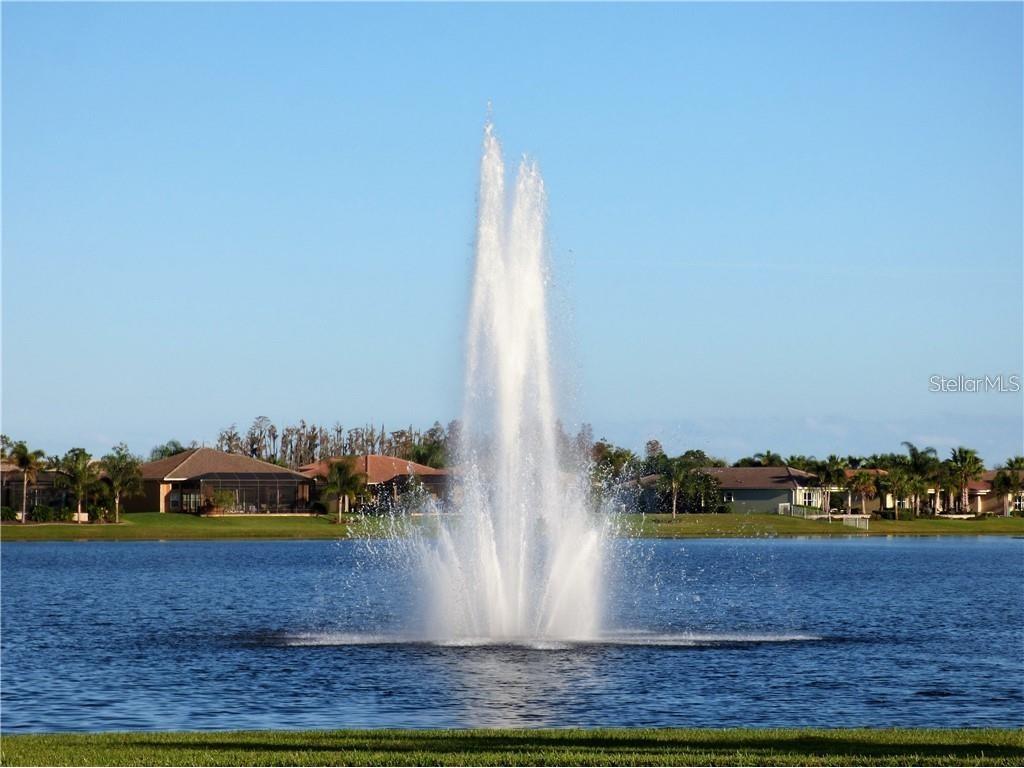 4834 Marble Springs Circle Wimauma FL 33598 TB8481463 image43