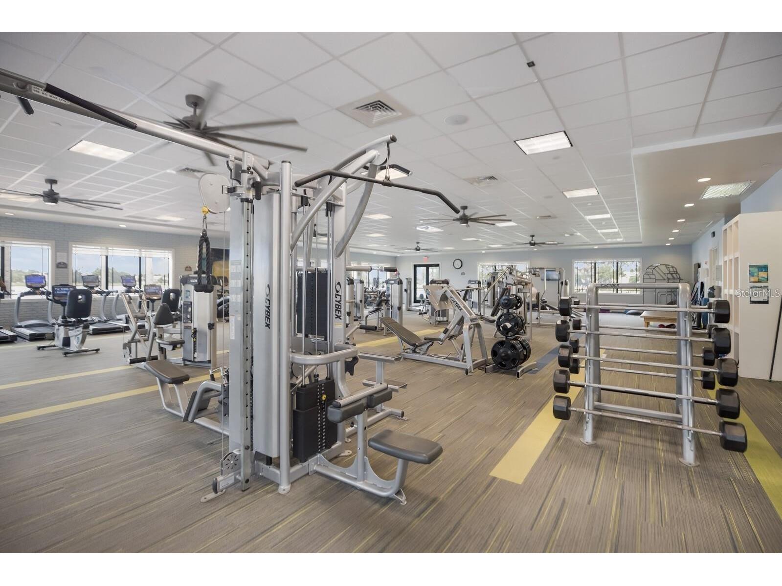 4834 Marble Springs Circle Wimauma FL 33598 TB8481463 image55