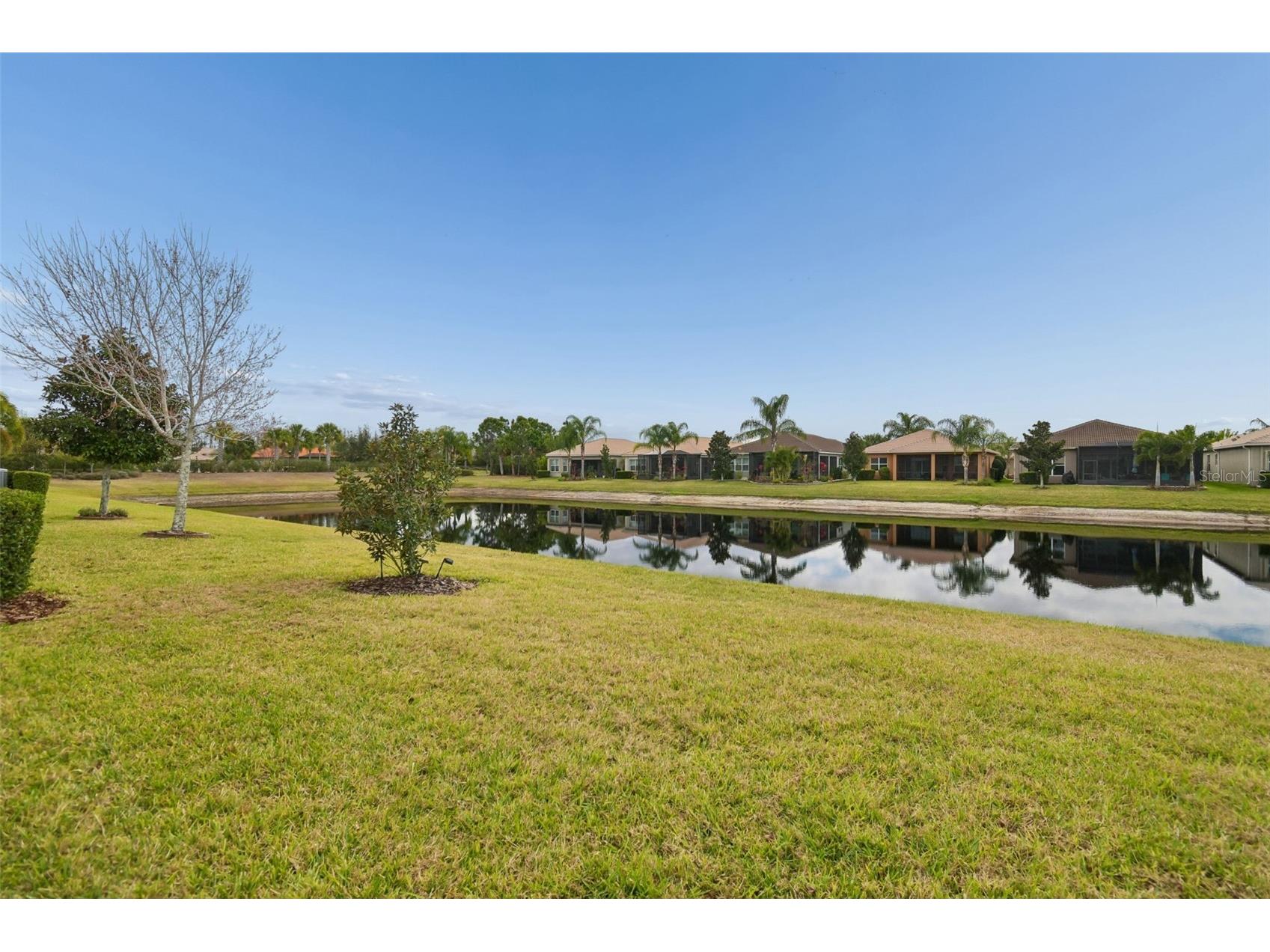 4834 Marble Springs Circle Wimauma FL 33598 TB8481463 image6