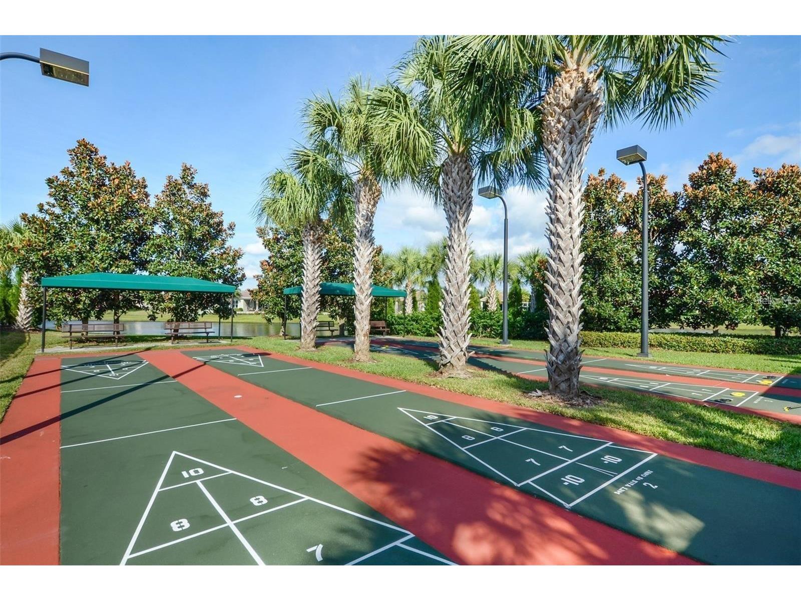 4834 Marble Springs Circle Wimauma FL 33598 TB8481463 image62