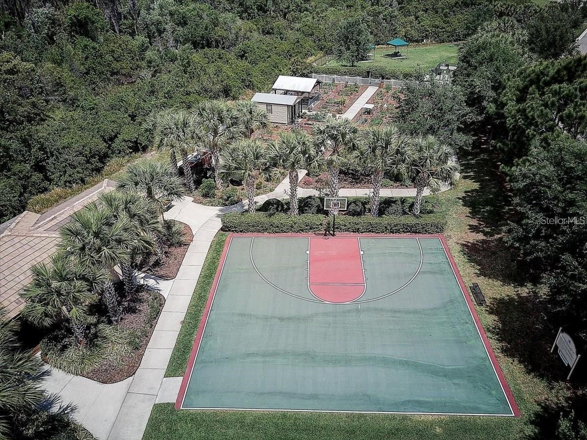 4834 Marble Springs Circle Wimauma FL 33598 TB8481463 image64