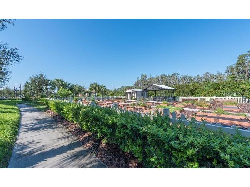 4834 Marble Springs Circle Wimauma FL 33598 TB8481463 image66