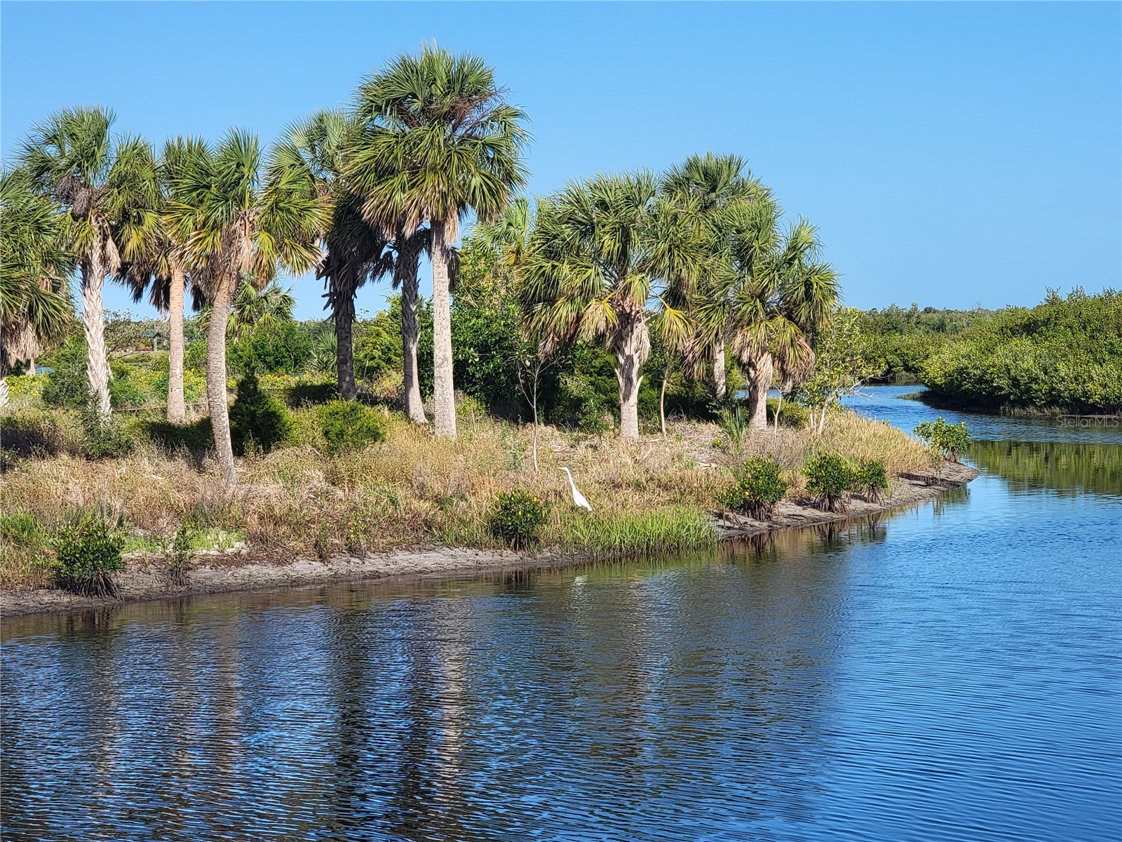 4835 Independence Drive Bradenton FL 34210 A4692423 image45