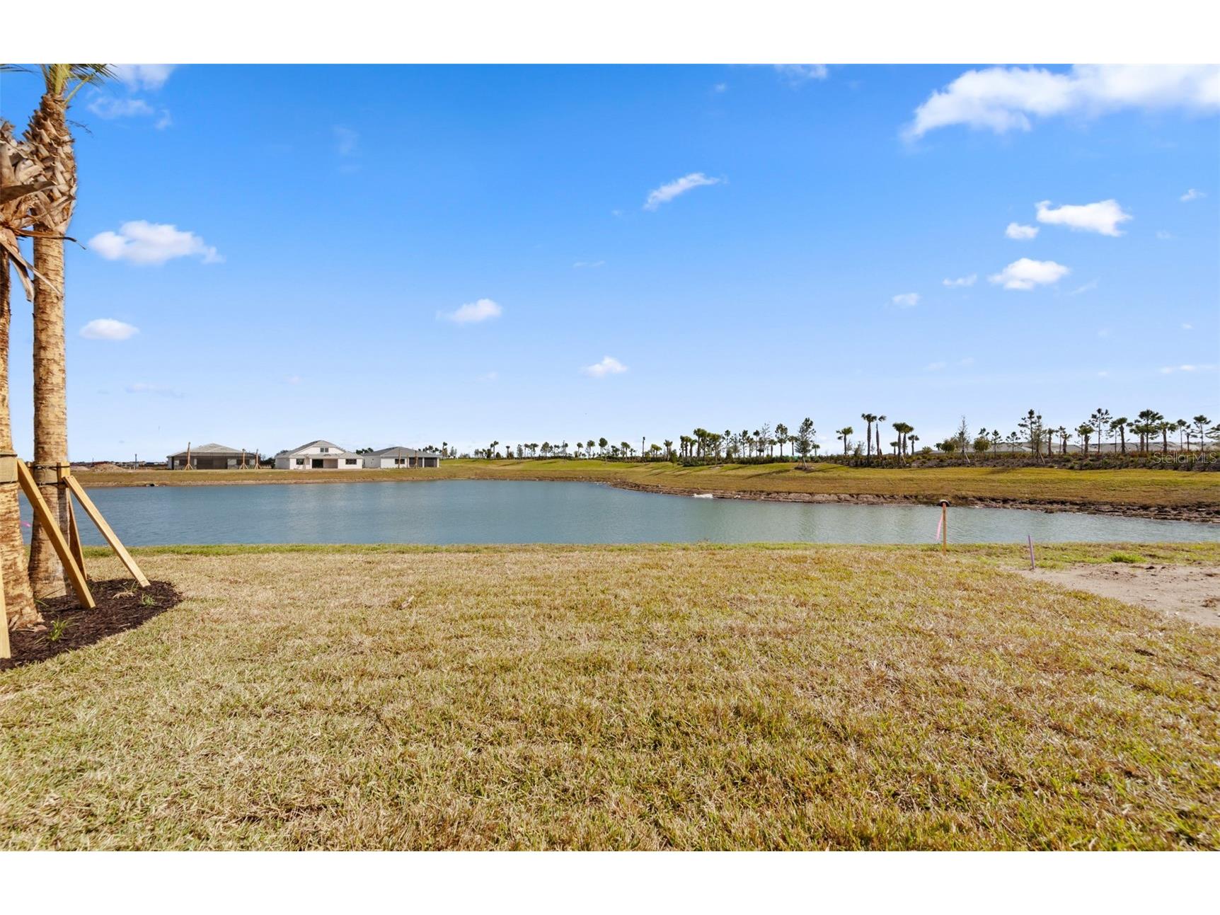 4835 Ivy Pearl Way Lakewood Ranch FL 34211 TB8476508 image33