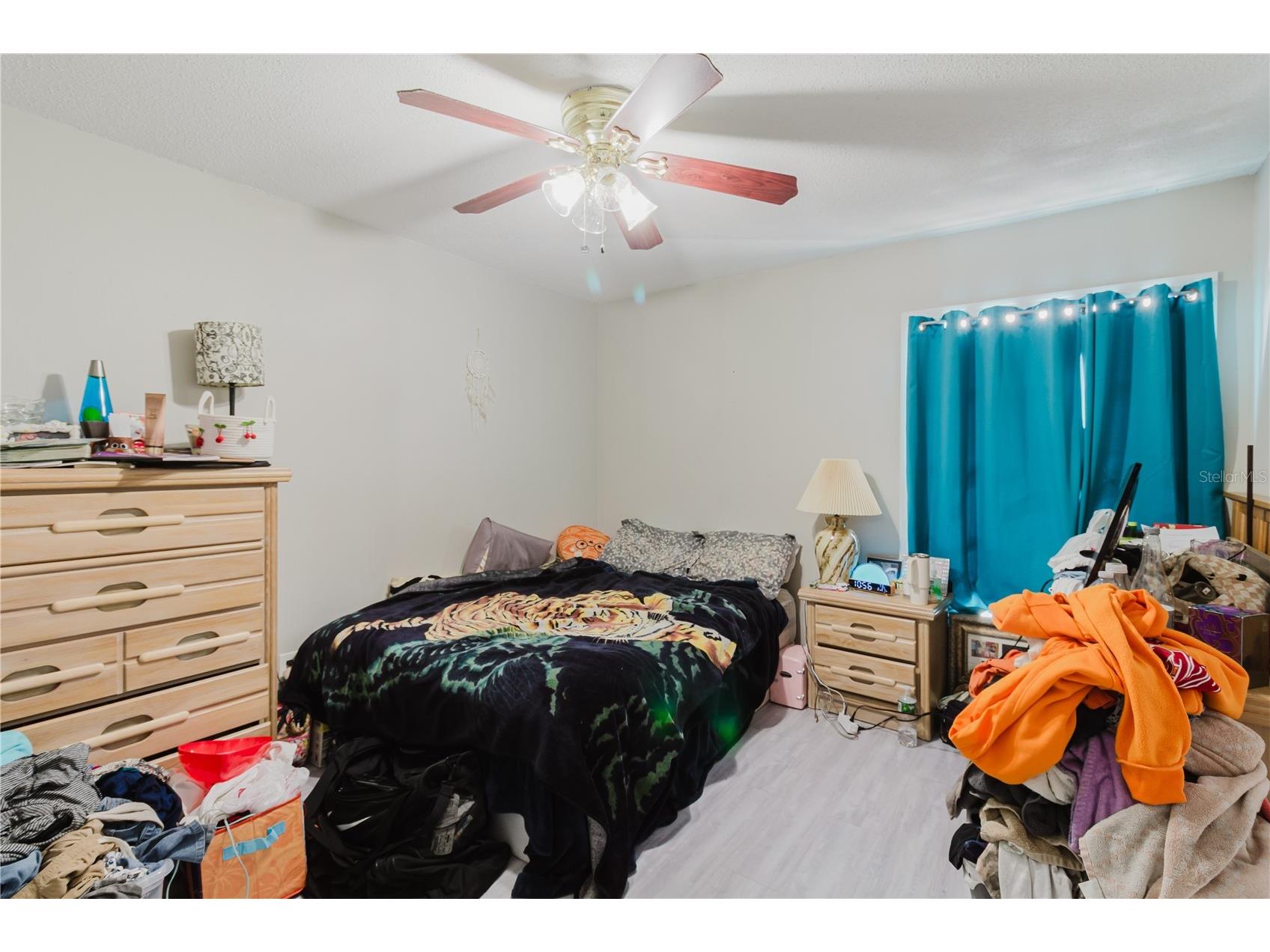 4835 Puritan Circle #121 Tampa FL 33617 TB8478445 image15