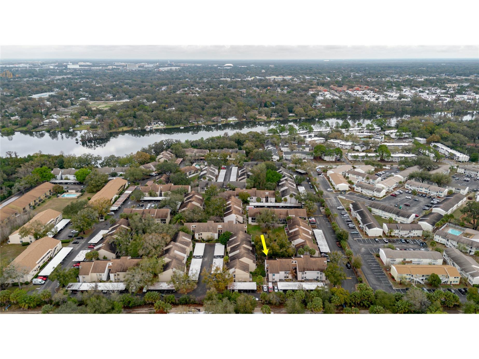 4835 Puritan Circle #121 Tampa FL 33617 TB8478445 image25