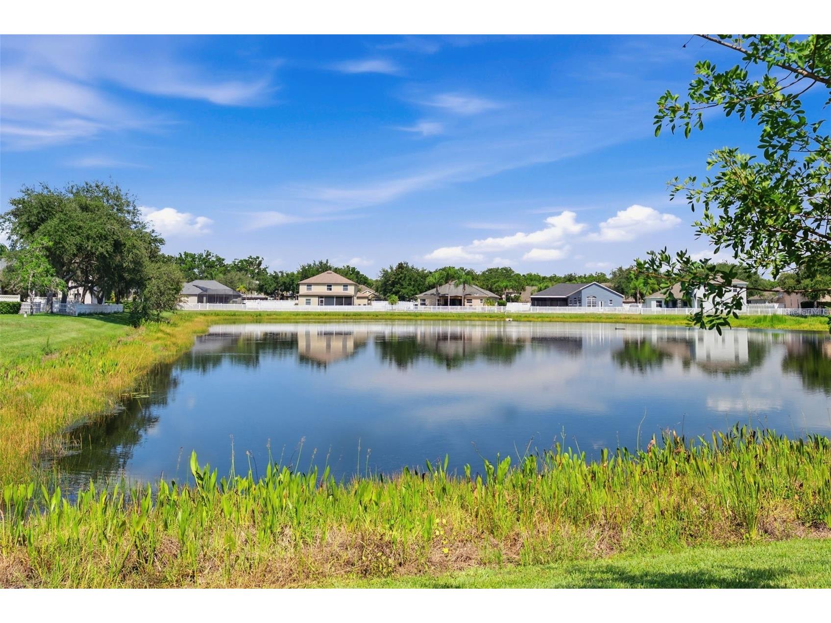 4836 Artesian Road Land O Lakes FL 34638 TB8509505 image67