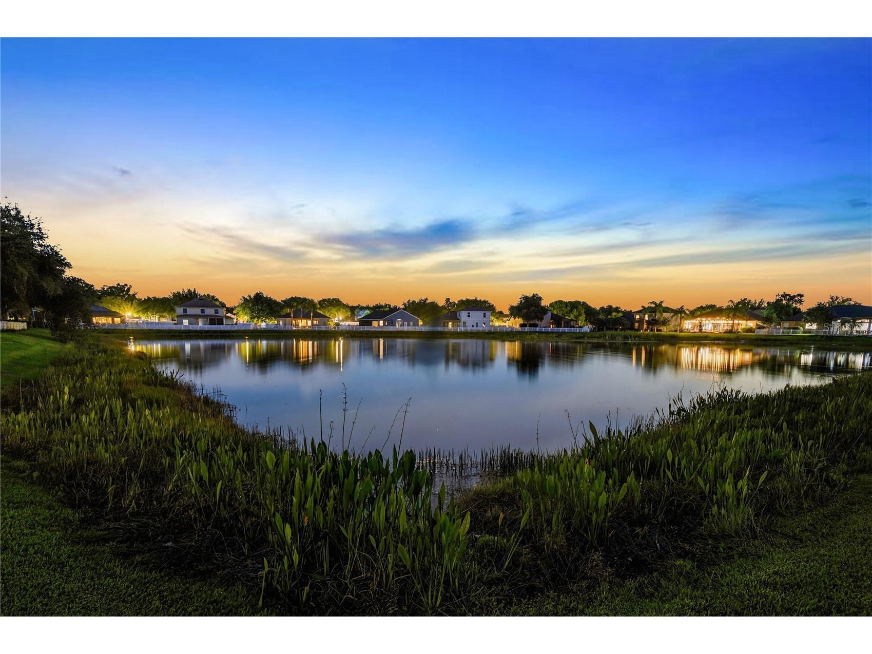 4836 Artesian Road Land O Lakes FL 34638 TB8509505 image71