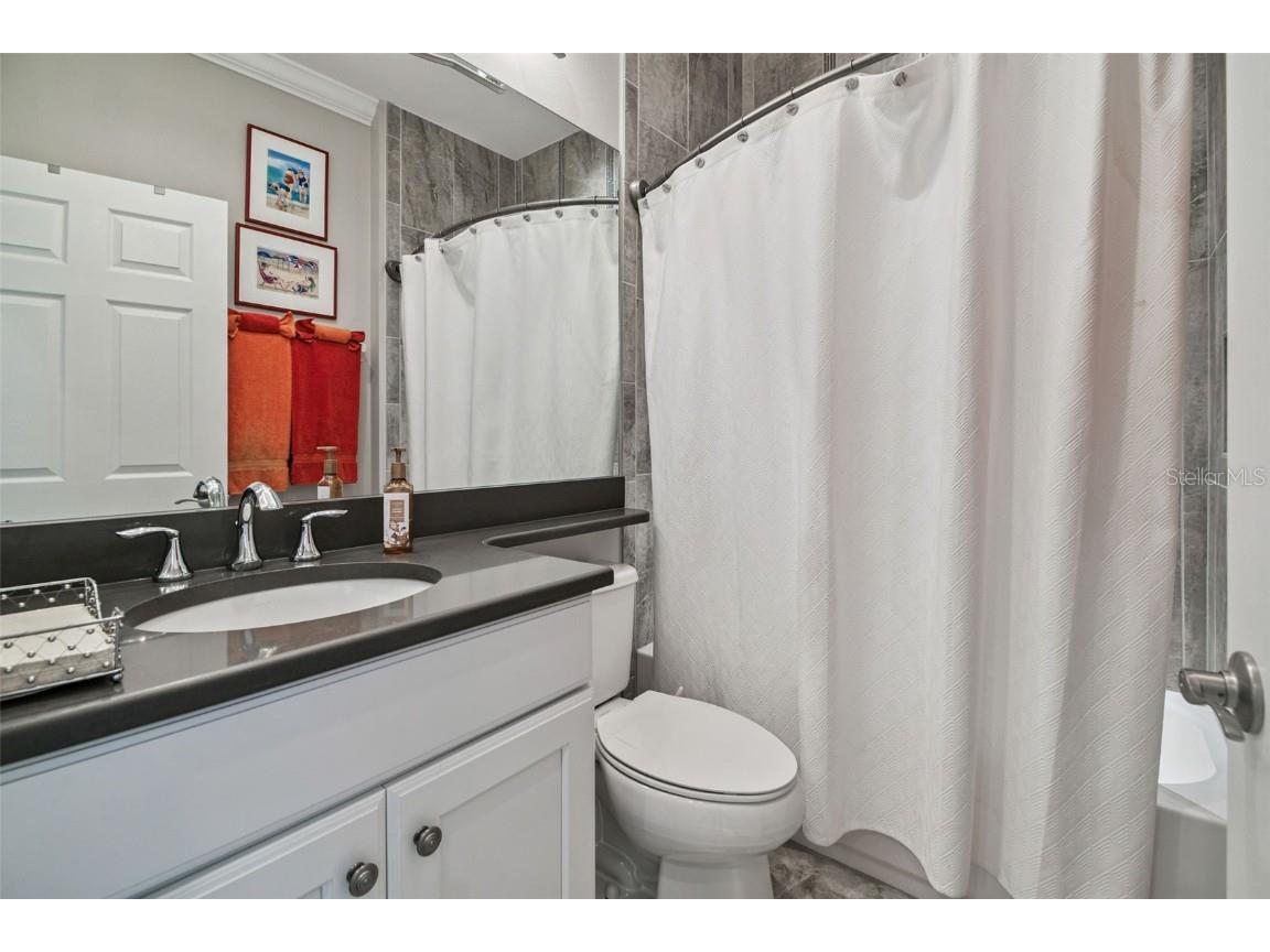 4836 Marble Springs Circle Wimauma FL 33598 TB8436248 image38