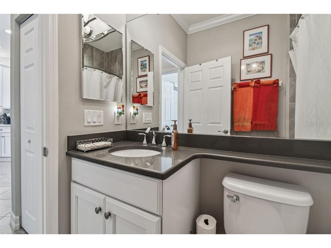 4836 Marble Springs Circle Wimauma FL 33598 TB8436248 image39