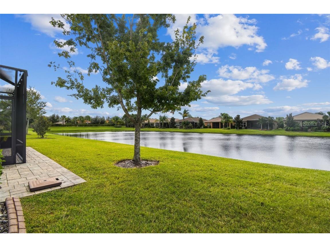 4836 Marble Springs Circle Wimauma FL 33598 TB8436248 image48