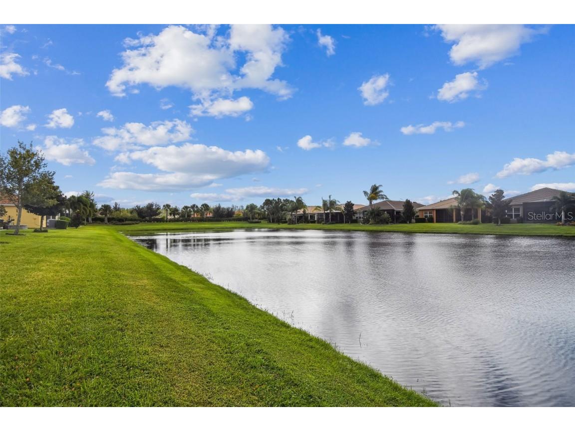 4836 Marble Springs Circle Wimauma FL 33598 TB8436248 image50