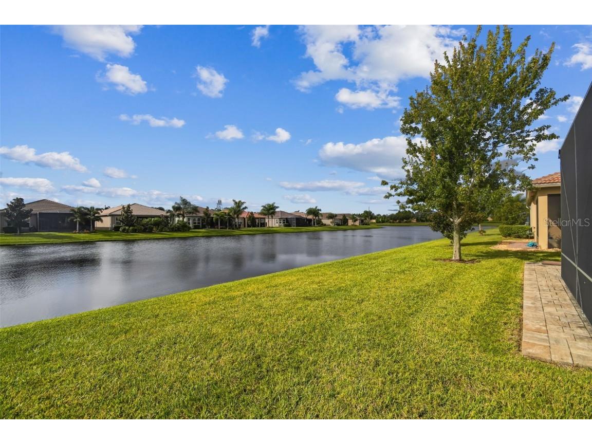 4836 Marble Springs Circle Wimauma FL 33598 TB8436248 image51