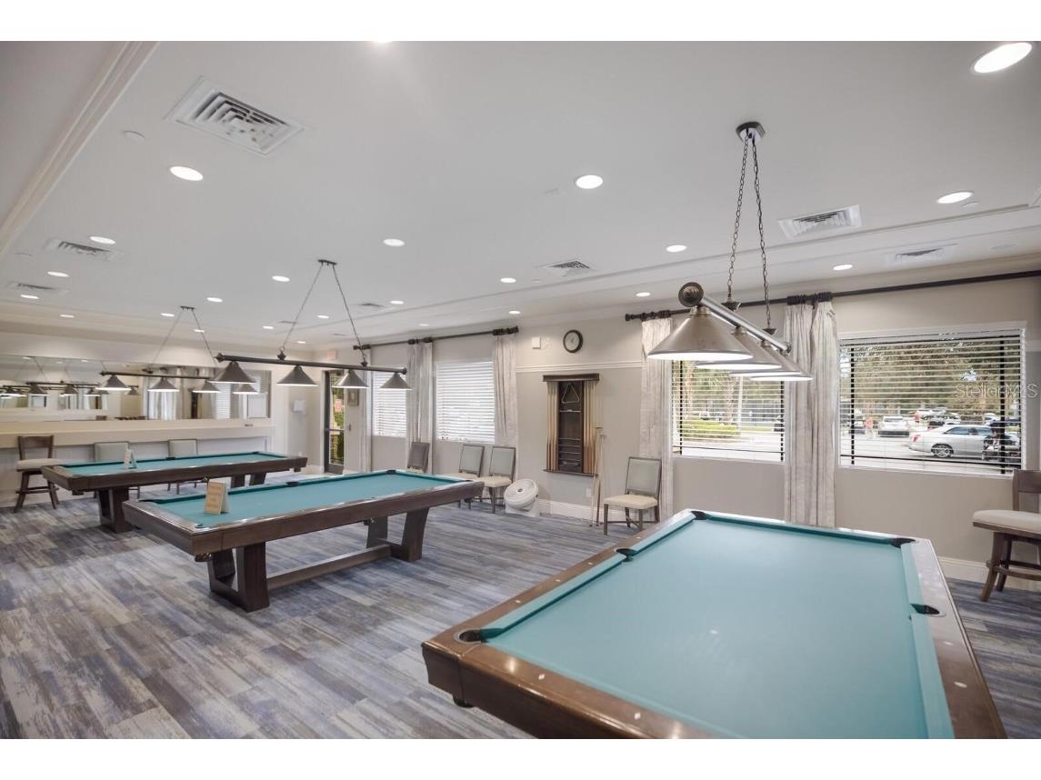 4836 Marble Springs Circle Wimauma FL 33598 TB8436248 image71