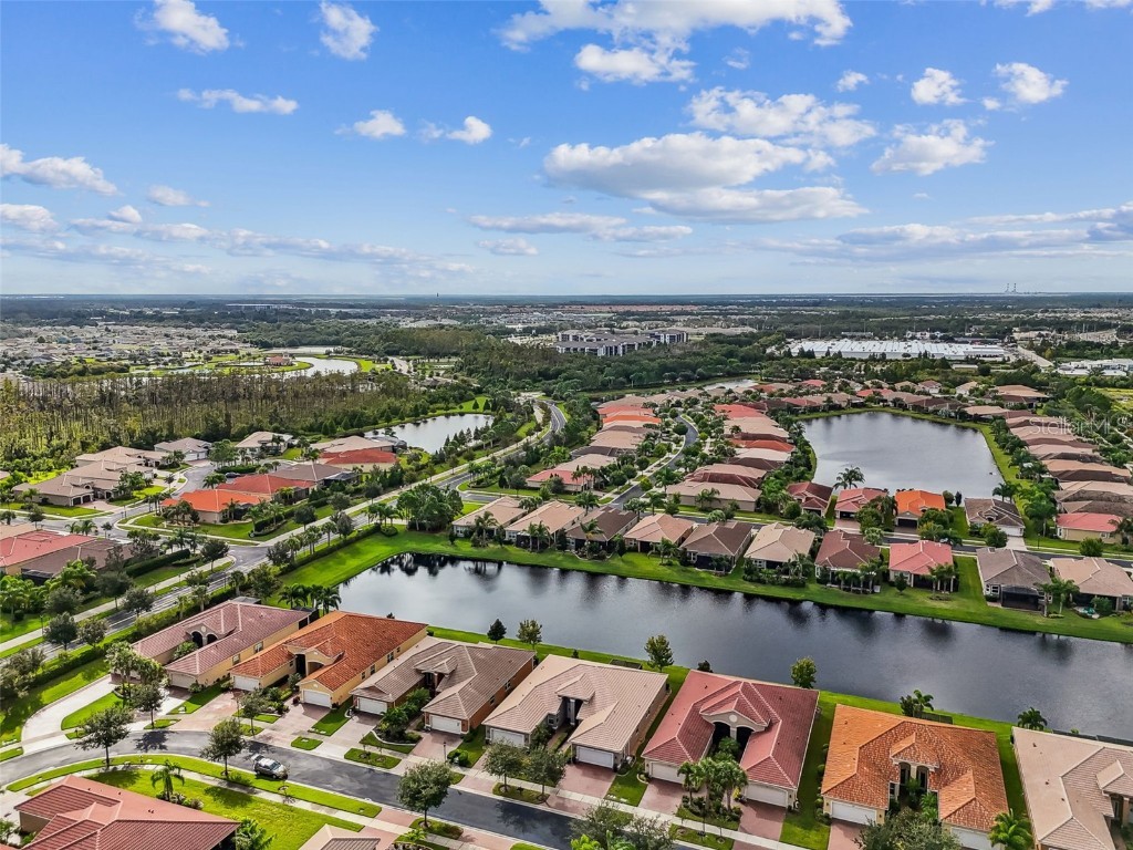 4836 Marble Springs Circle Wimauma FL 33598 TB8436248 image8