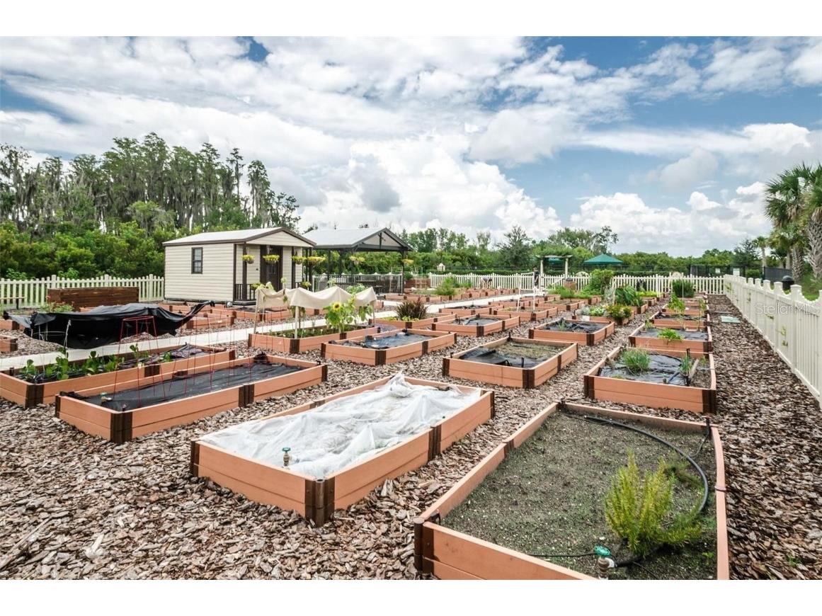 4836 Marble Springs Circle Wimauma FL 33598 TB8436248 image80