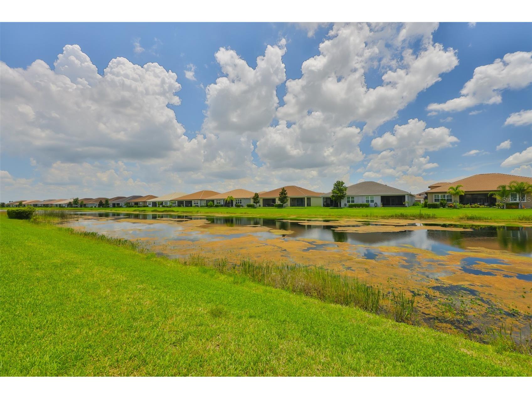 4836 Sevilla Shores Drive Wimauma FL 33598 TB8509299 image33