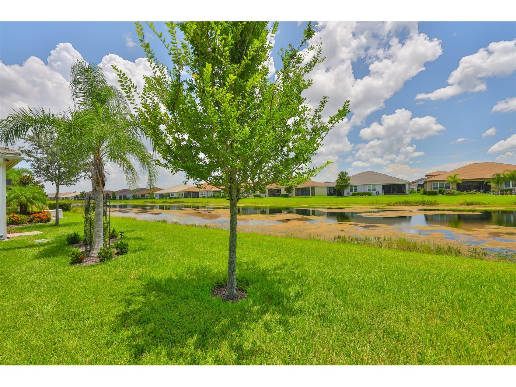 4836 Sevilla Shores Drive Wimauma FL 33598 TB8509299 image34