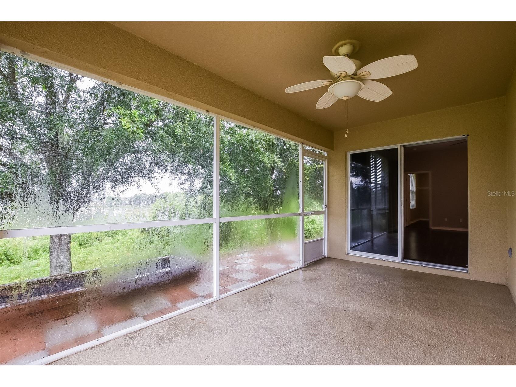 4837 Cape Hatteras Drive Clermont FL 34714 TB8508125 image13