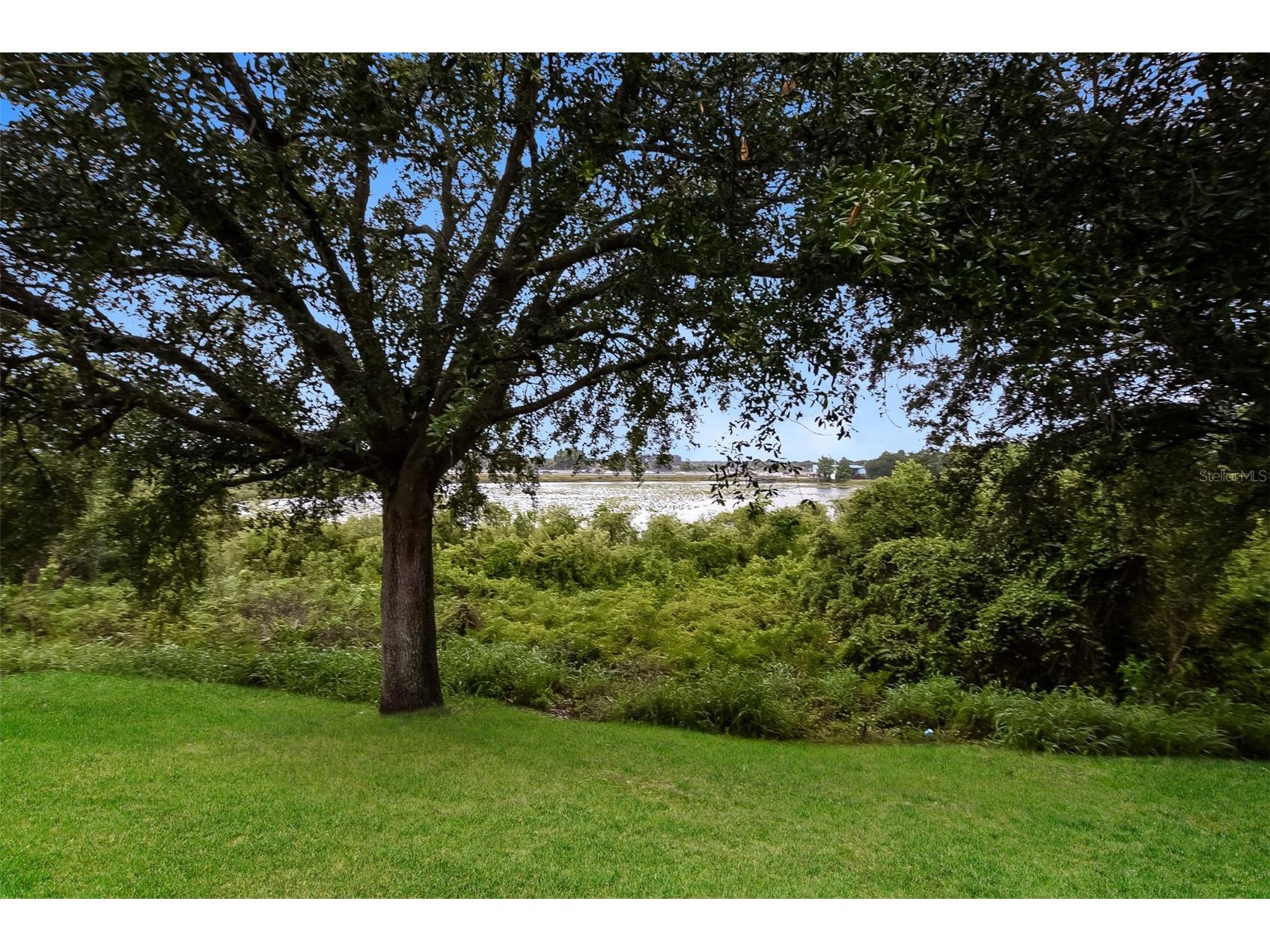 4837 Cape Hatteras Drive Clermont FL 34714 TB8508125 image33