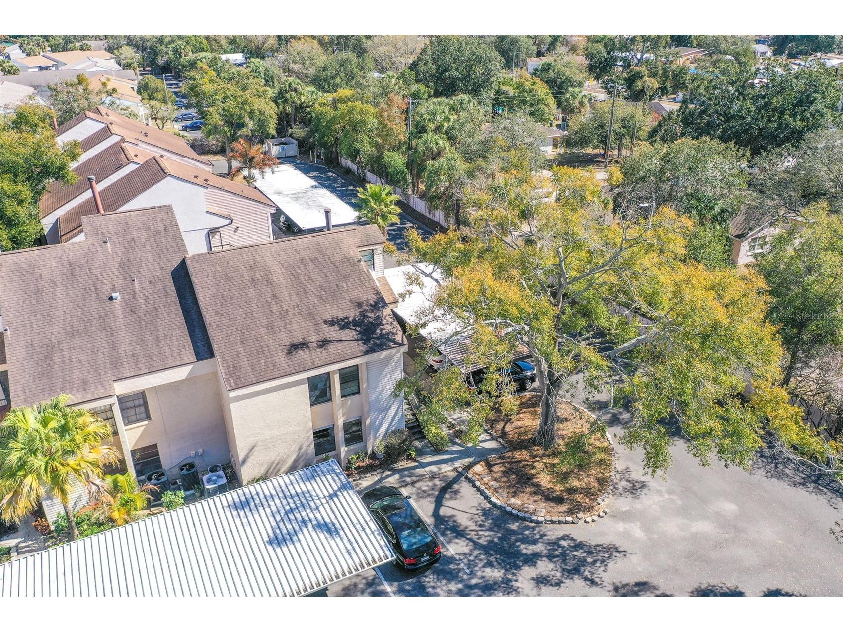 4837 Puritan Circle #2505 Tampa FL 33617 L4959228 image23