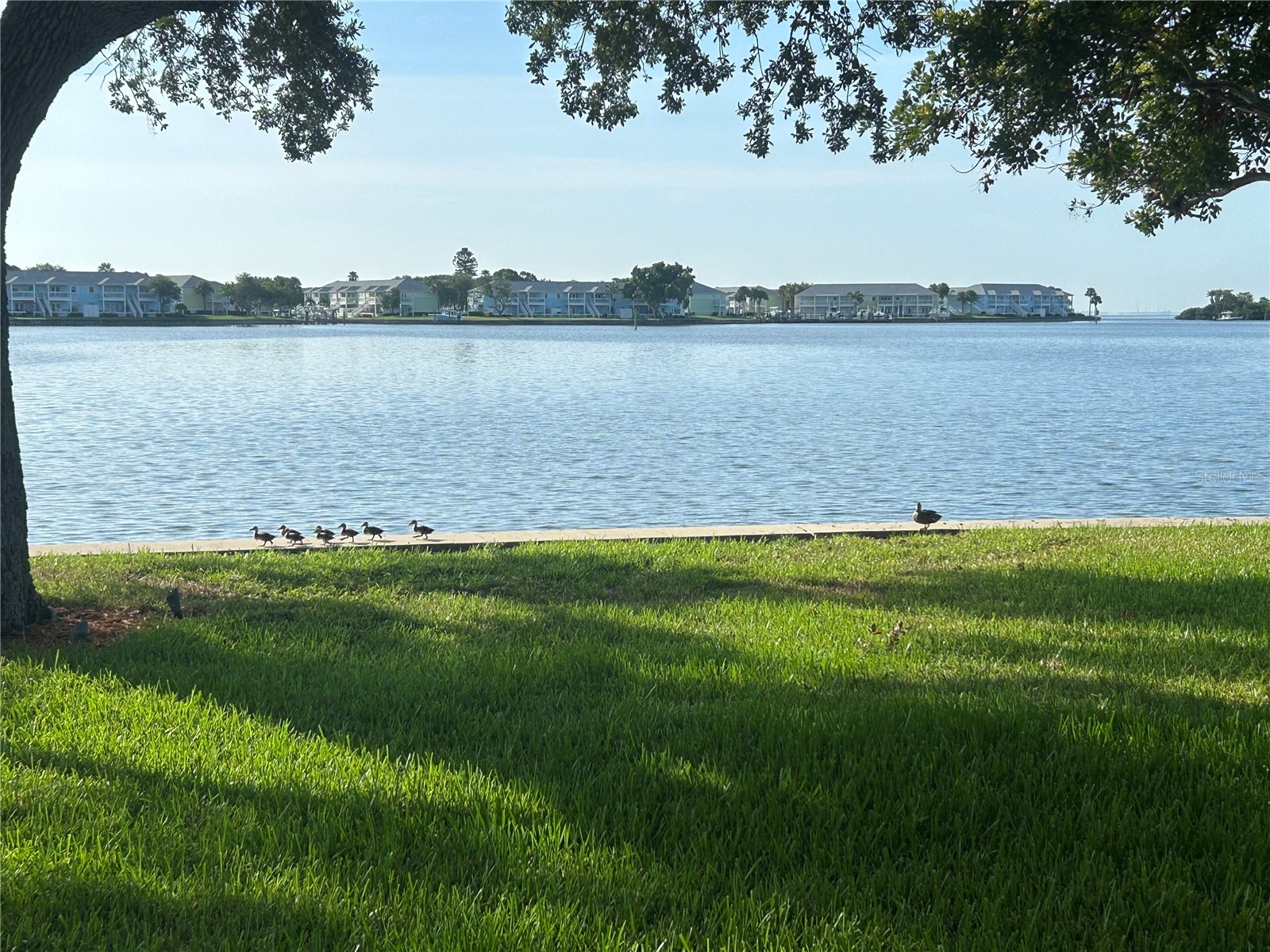 4838 Paradise Way S Saint Petersburg FL 33705 - LITTLE BAYOU TB8507474 image12