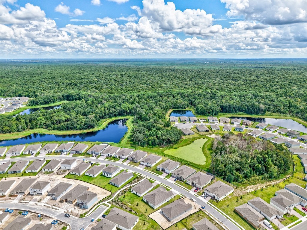 4838 Waltham Forest Dr Davenport FL 33837 O6346877 image45