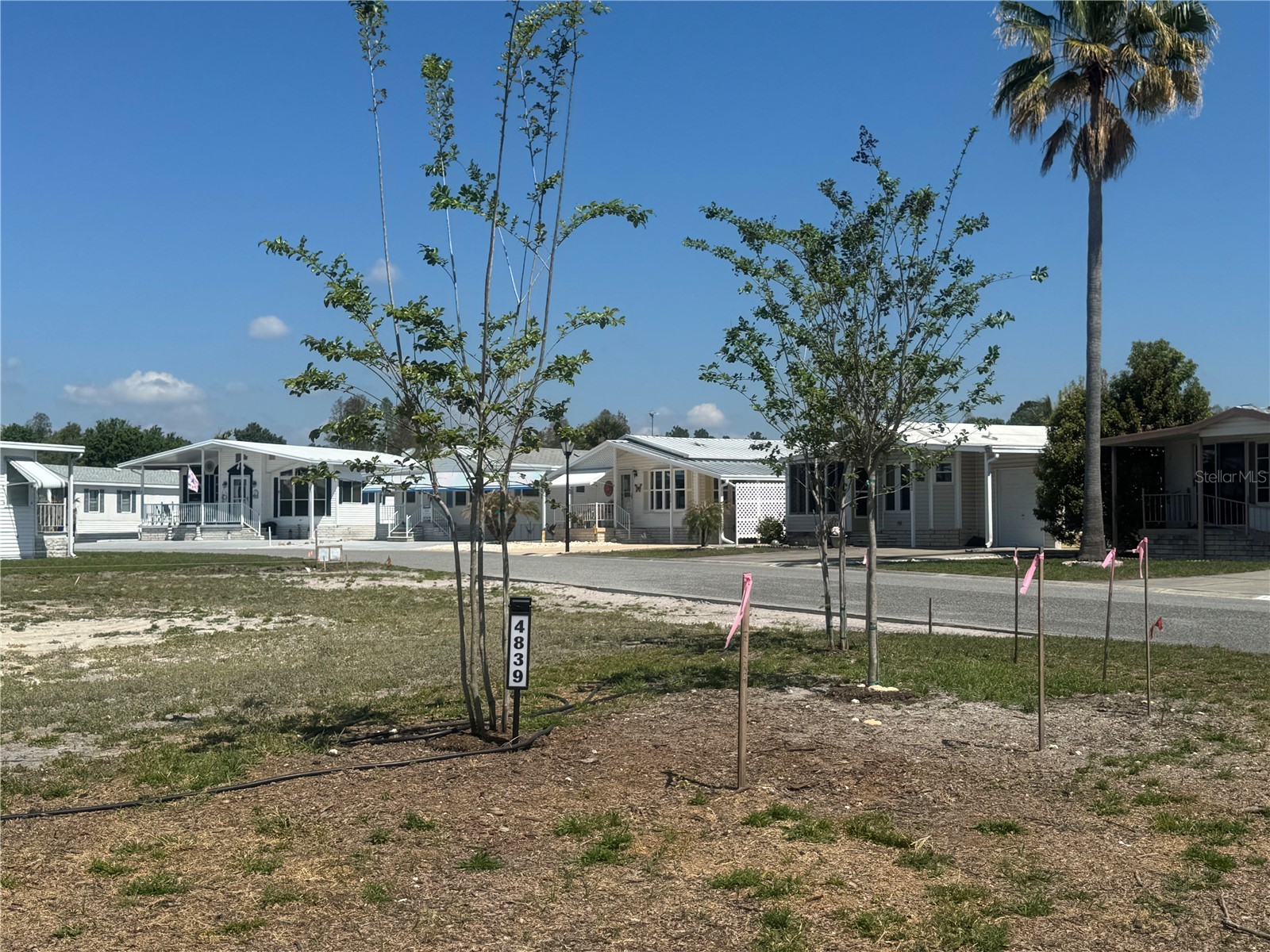4839 Baker Avenue #192 Zephyrhills FL 33541 TB8491601 image2
