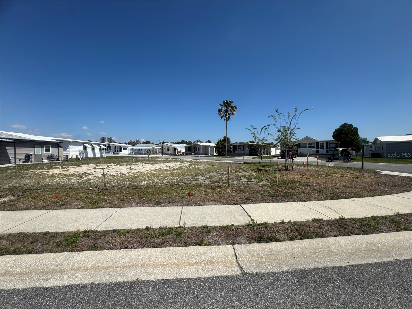 4839 Baker Avenue #192 Zephyrhills FL 33541 TB8491601 image6