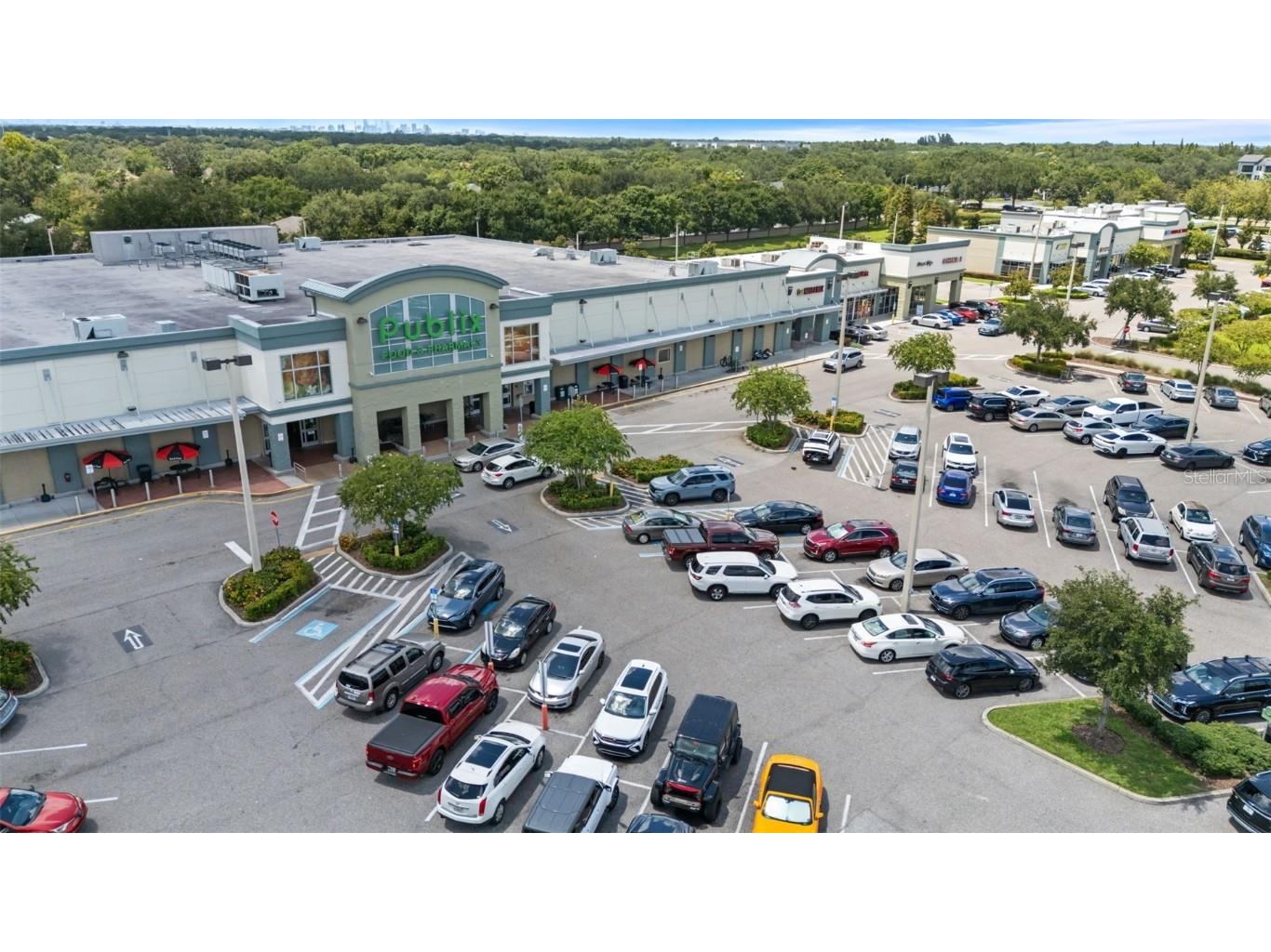 4839 Barnstead Drive Riverview FL 33578 TB8422697 image86