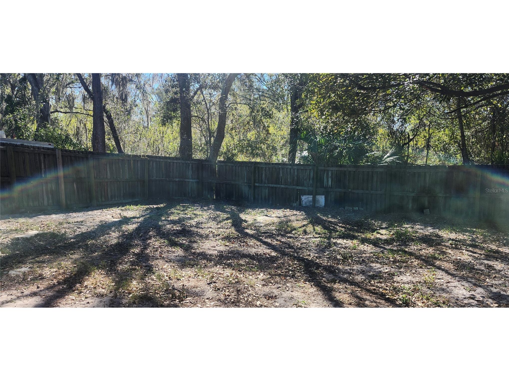 4839 Billy Direct Lane Lutz FL 33559 W7882739 image23
