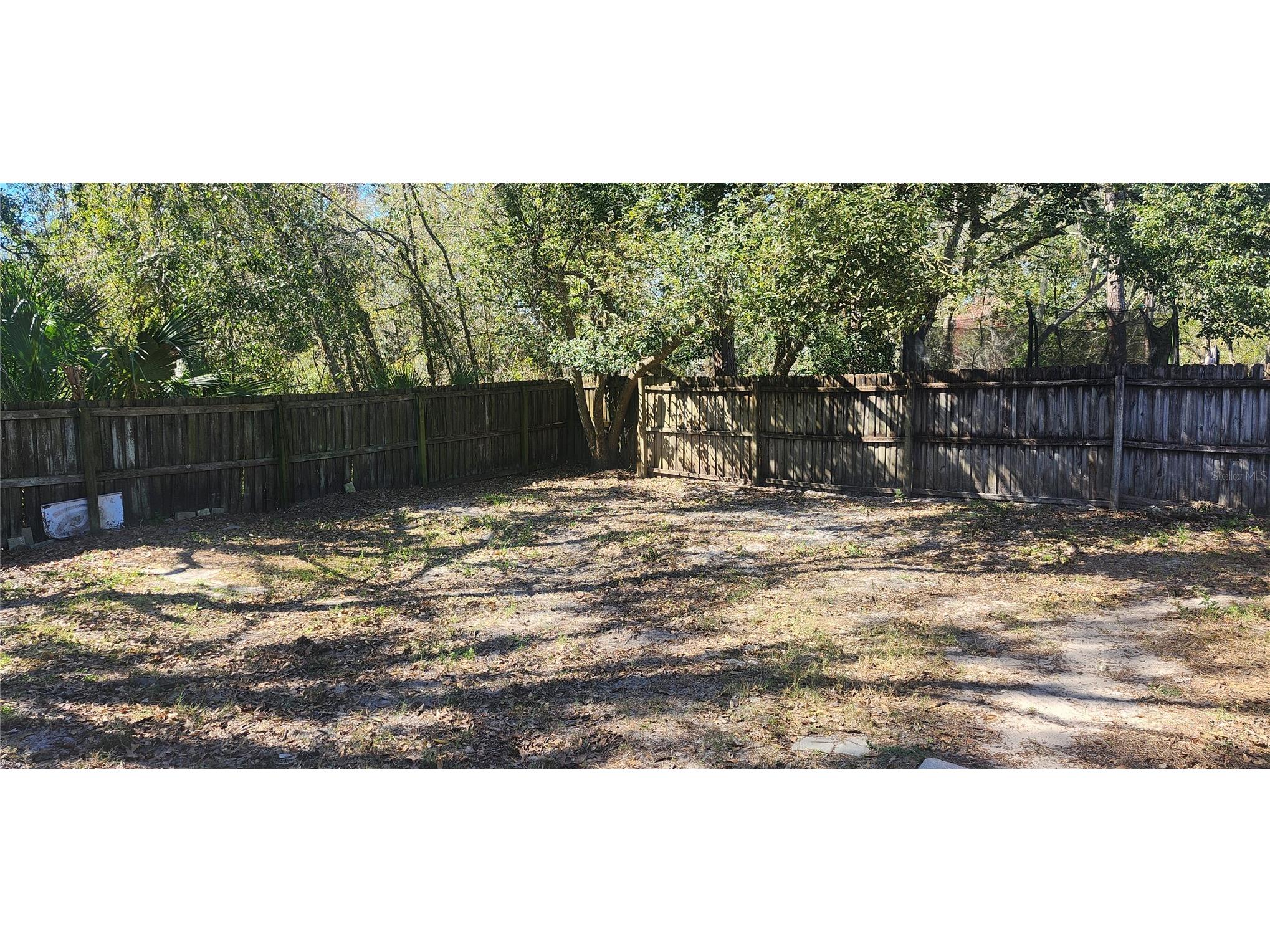 4839 Billy Direct Lane Lutz FL 33559 W7882739 image24