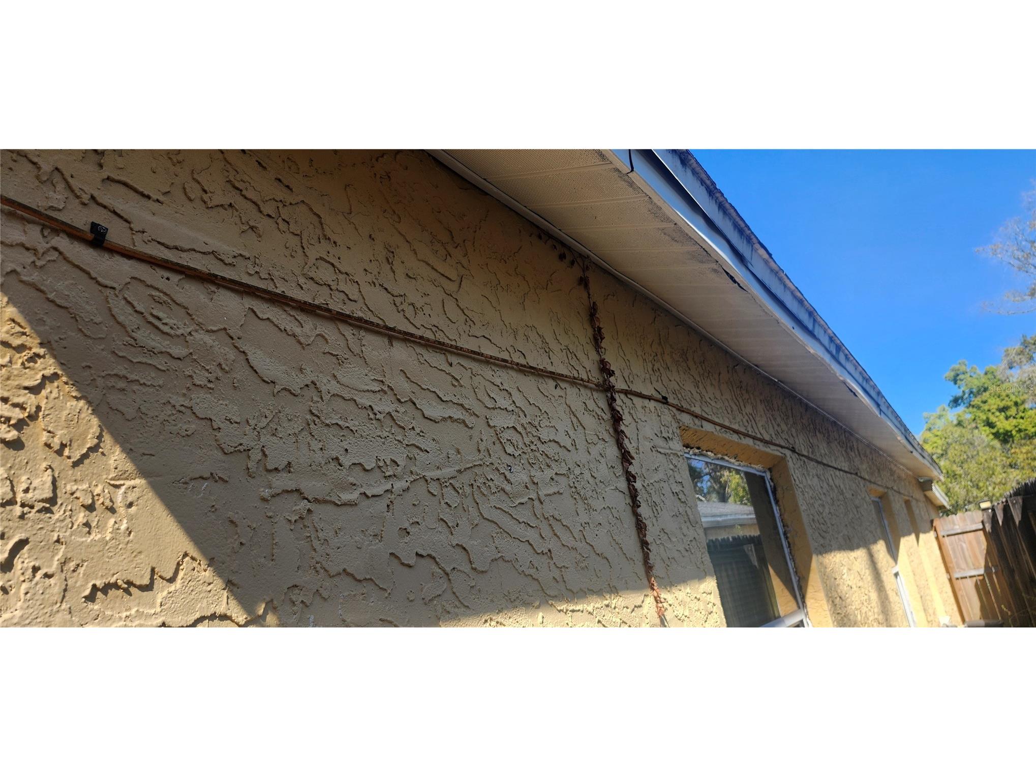 4839 Billy Direct Lane Lutz FL 33559 W7882739 image26