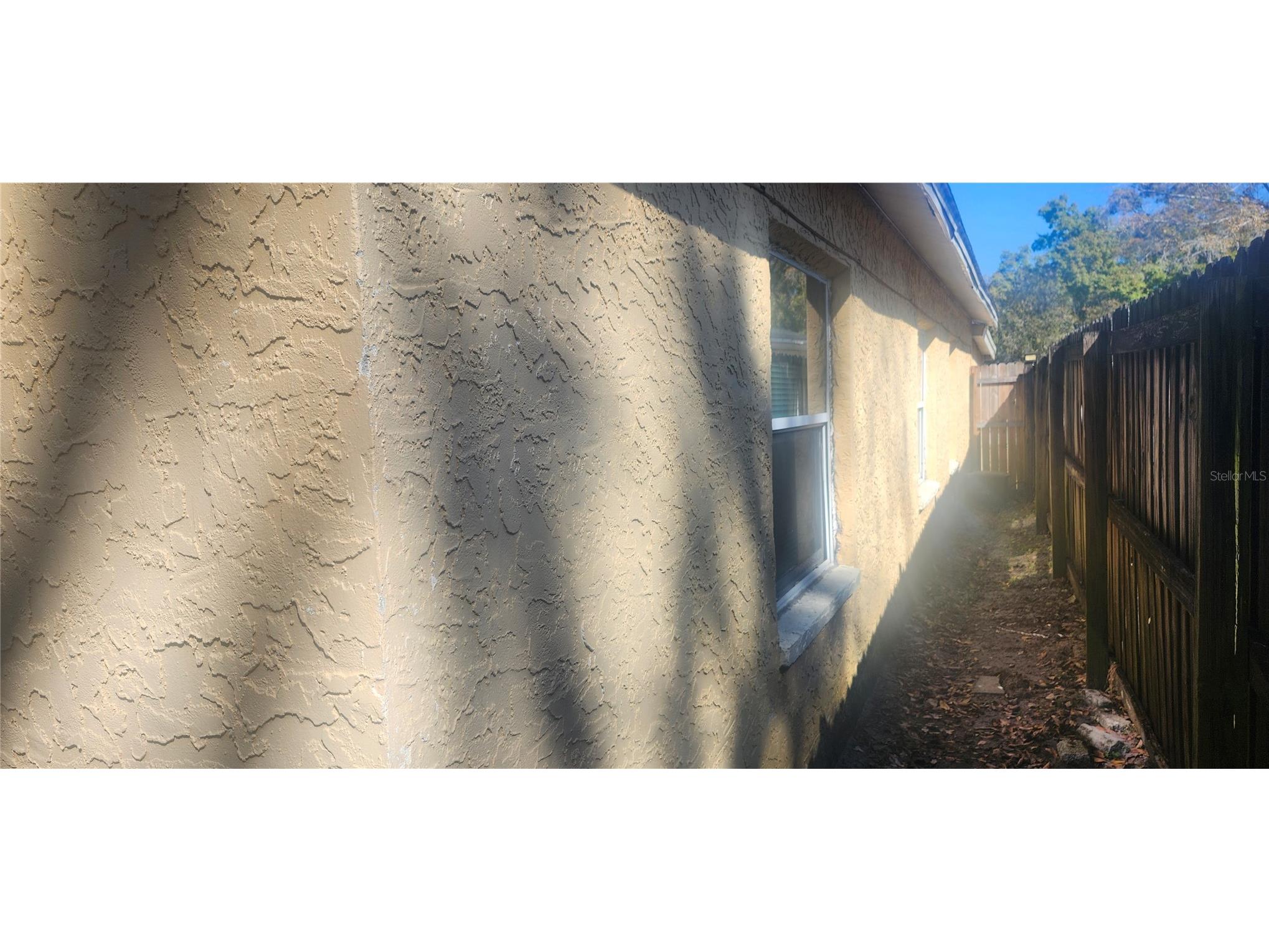 4839 Billy Direct Lane Lutz FL 33559 W7882739 image34