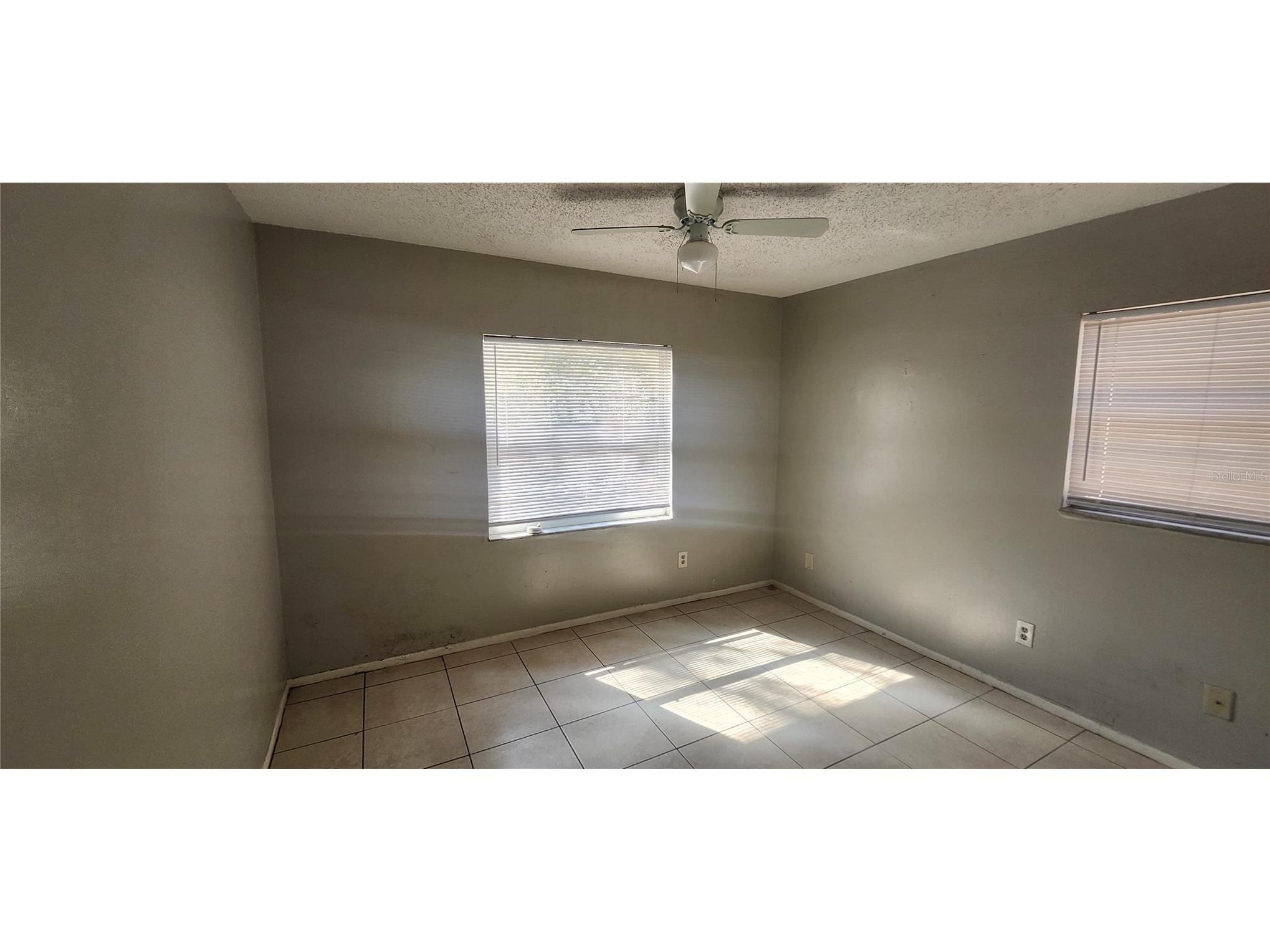 4839 Billy Direct Lane Lutz FL 33559 W7882739 image43