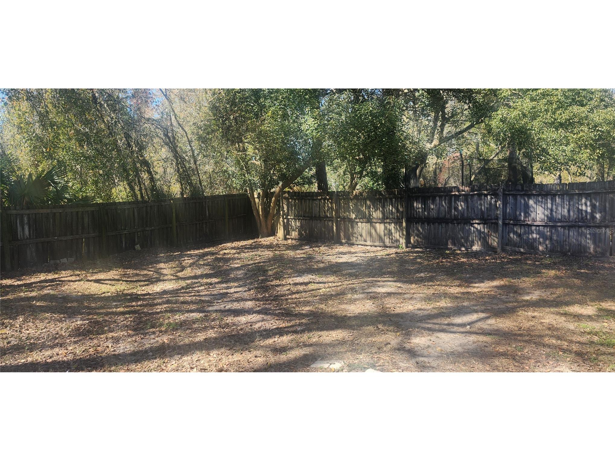 4839 Billy Direct Lane Lutz FL 33559 W7882739 image47