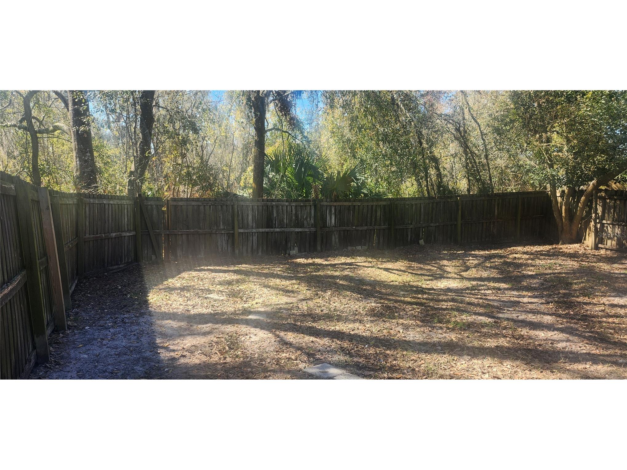 4839 Billy Direct Lane Lutz FL 33559 W7882739 image49