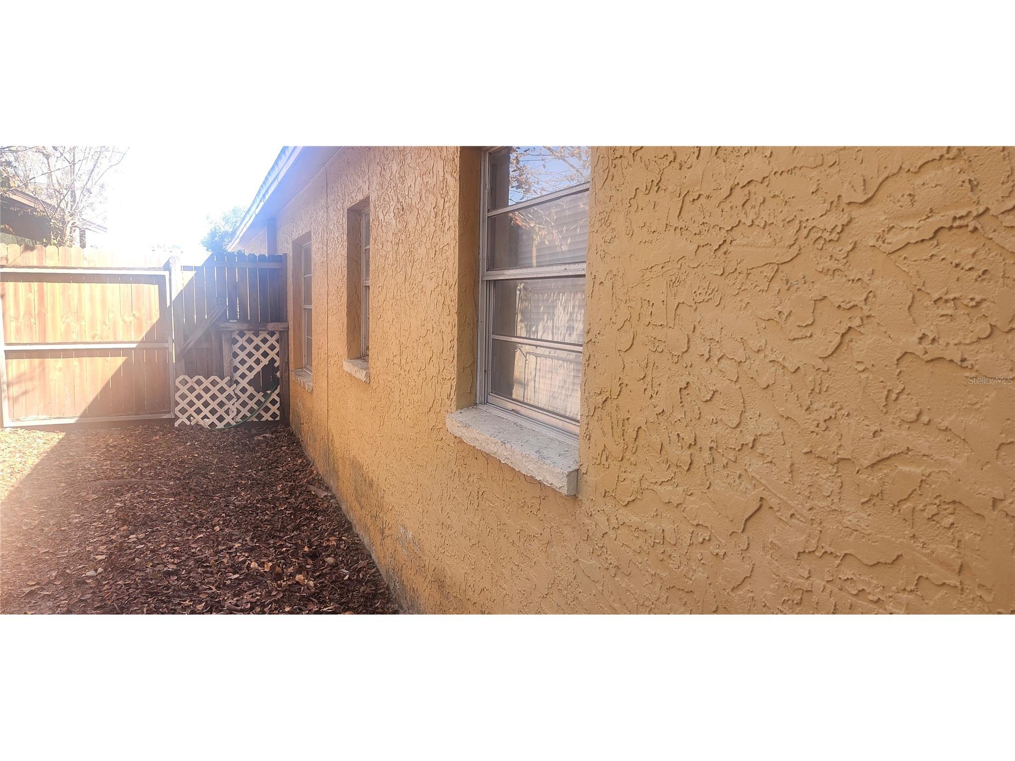 4839 Billy Direct Lane Lutz FL 33559 W7882739 image50