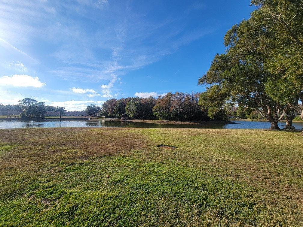 4839 Grist Mill Circle New Port Richey FL 34655 W7881217 image23