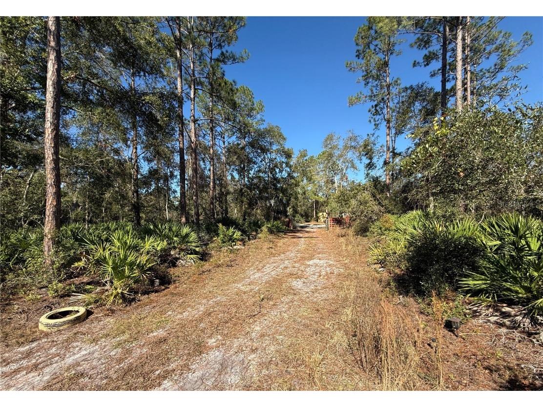 484 NE 412th Avenue Old Town FL 32680 O6258830 image12