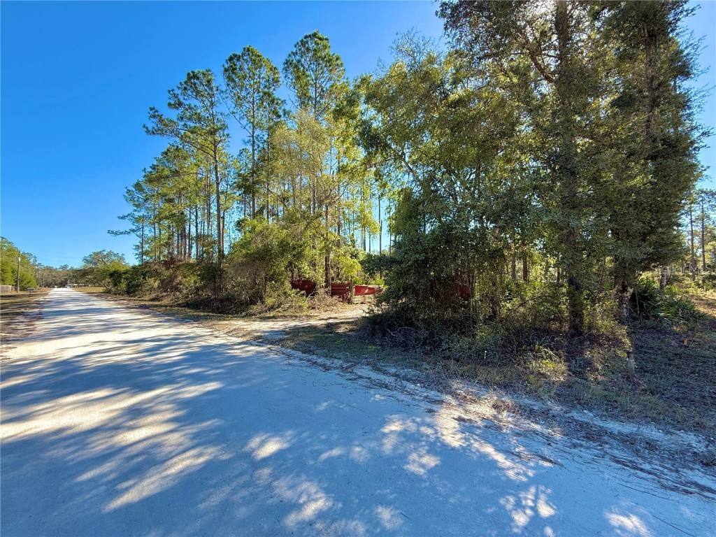 484 NE 412th Avenue Old Town FL 32680 O6258830 image13