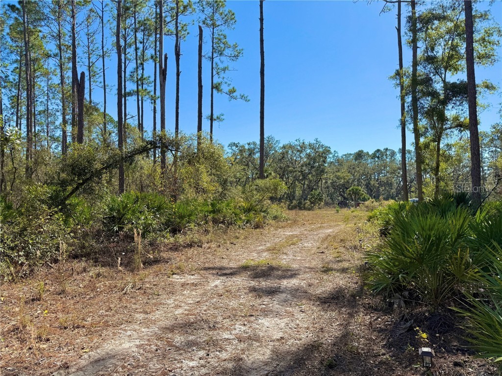 484 NE 412th Avenue Old Town FL 32680 O6258830 image2