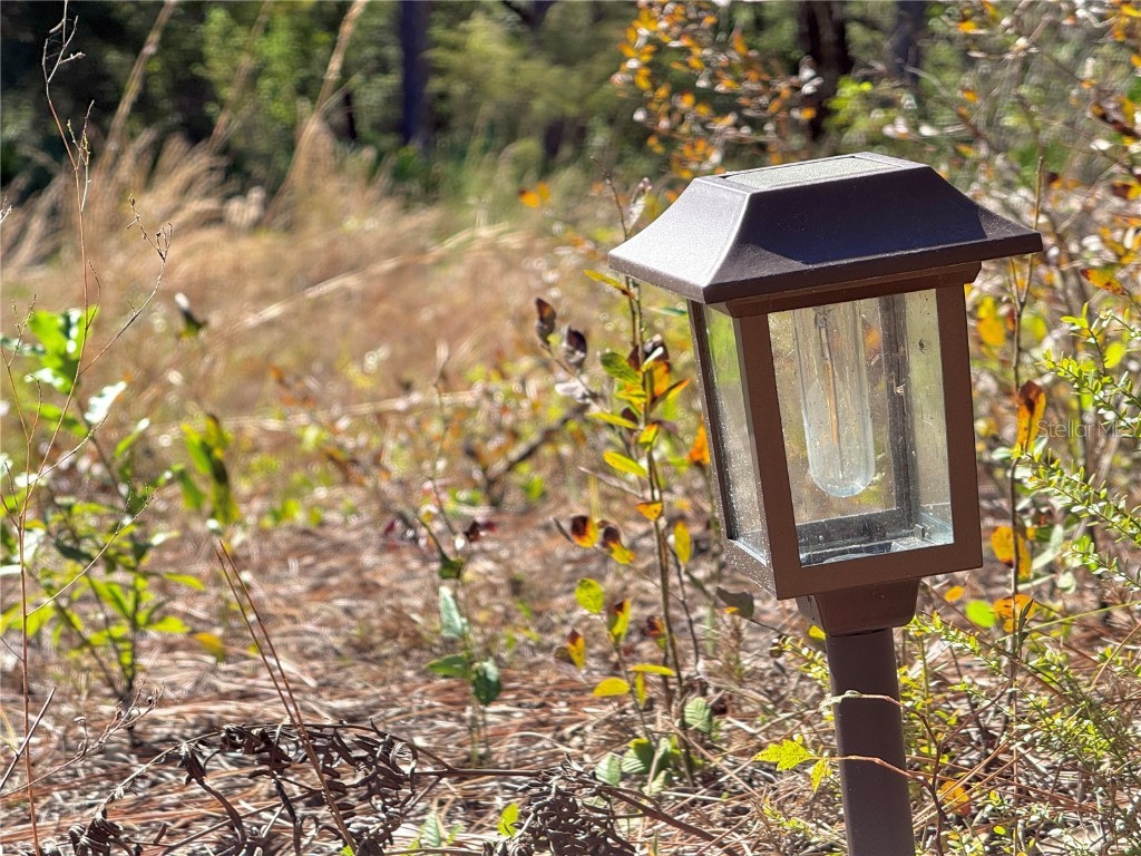 484 NE 412th Avenue Old Town FL 32680 O6258830 image9