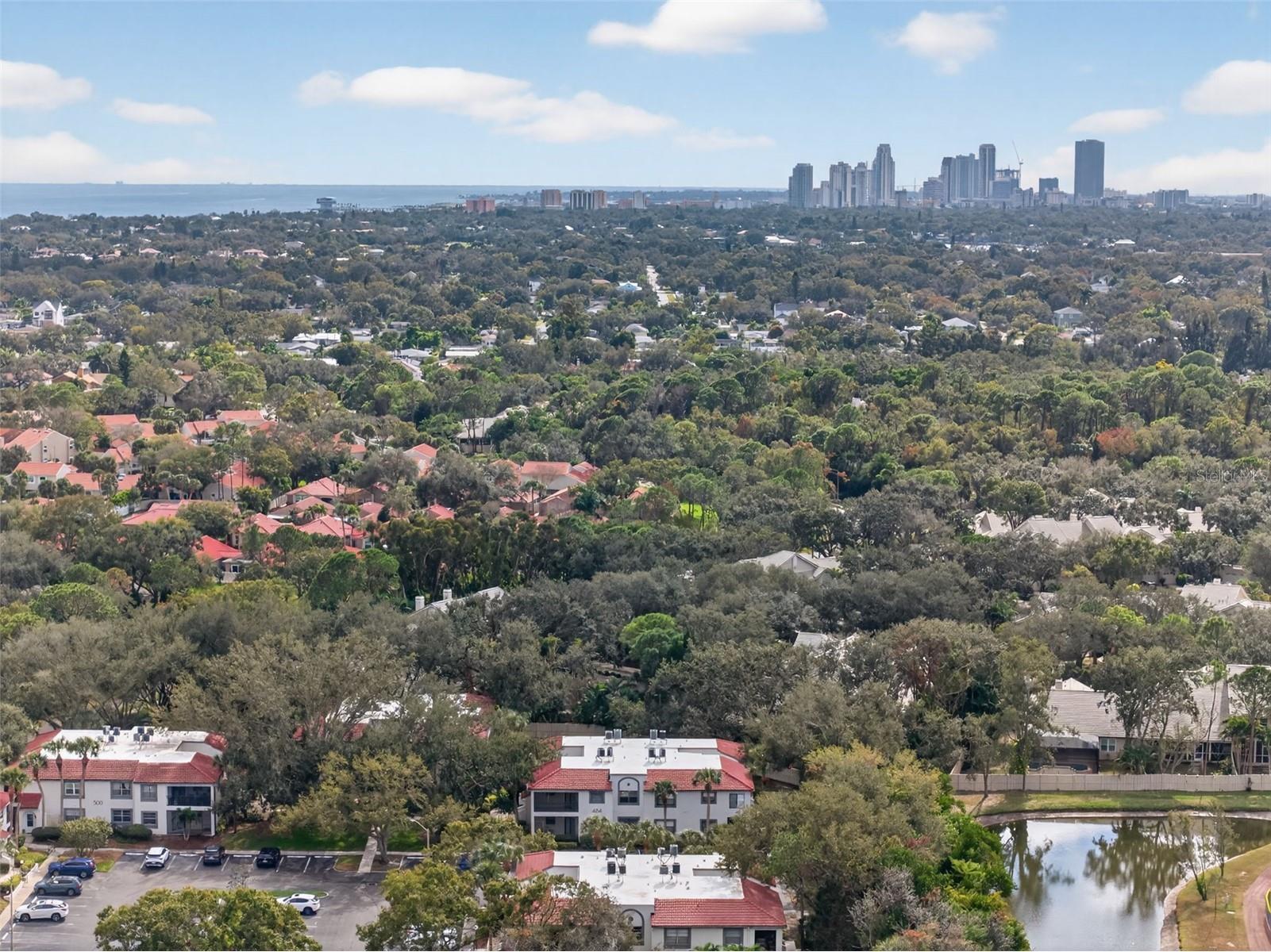 484 Santa Cruz Place NE #G Saint Petersburg FL 33703 TB8470908 image66