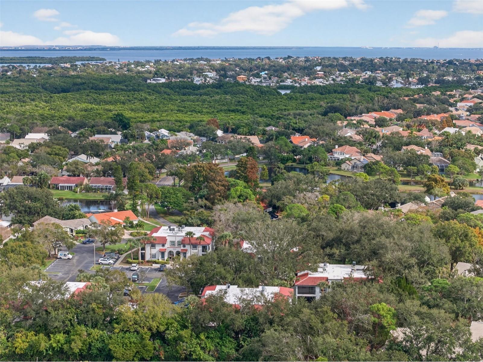 484 Santa Cruz Place NE #G Saint Petersburg FL 33703 TB8470908 image72