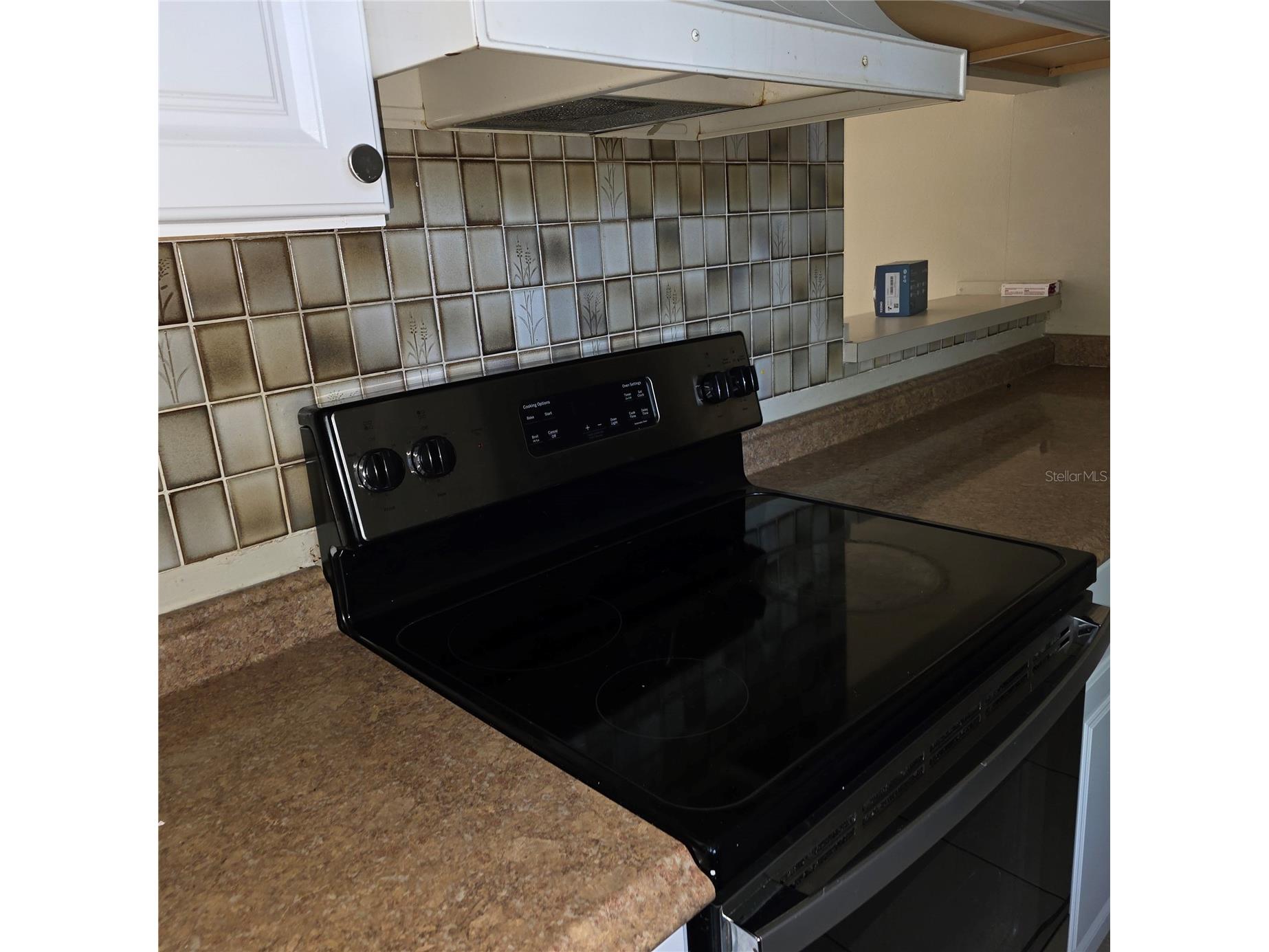 484 Tamarack Street Altamonte Springs FL 32714 S5149367 image12