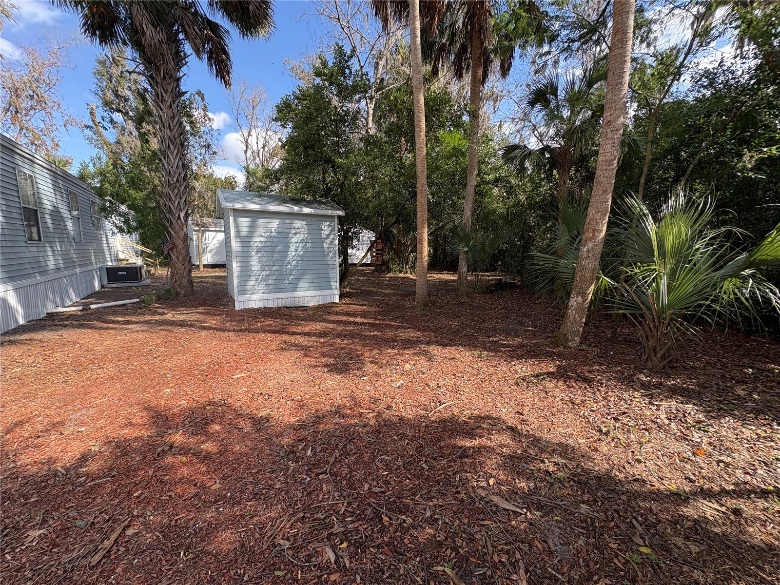 4840 Indian Oak Drive Mulberry FL 33860 B4902159 image14