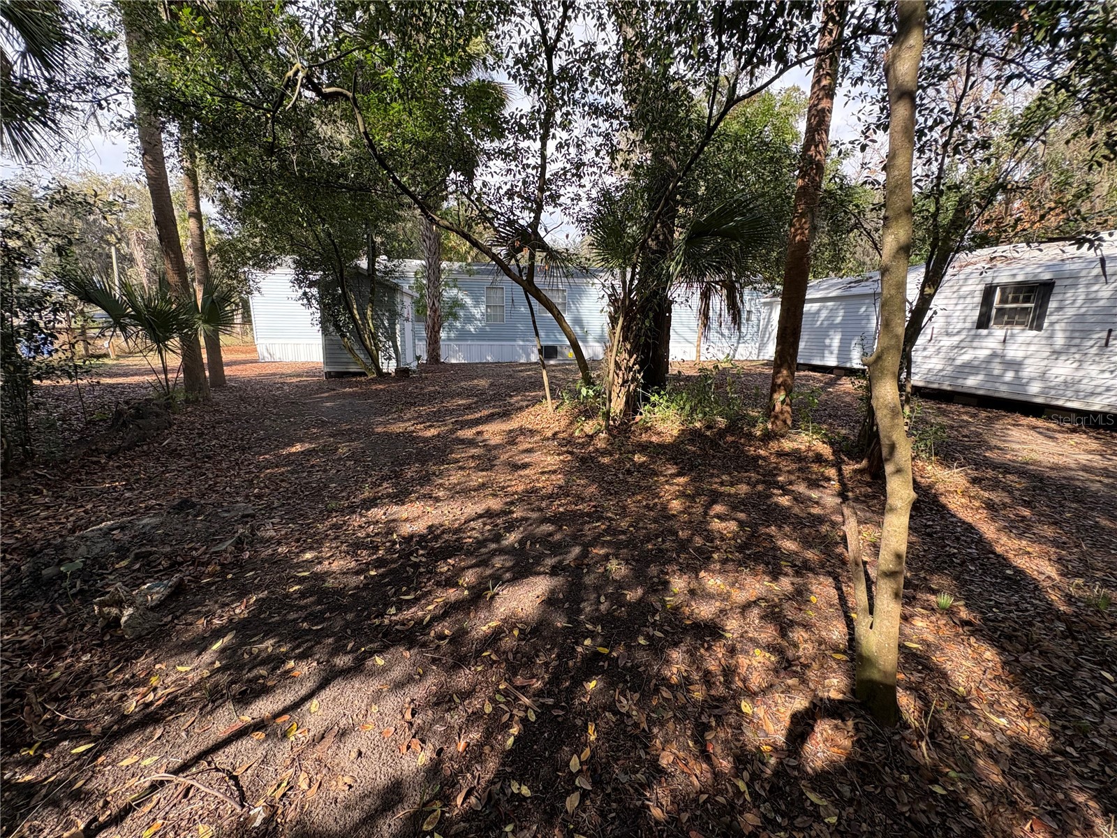 4840 Indian Oak Drive Mulberry FL 33860 B4902159 image20