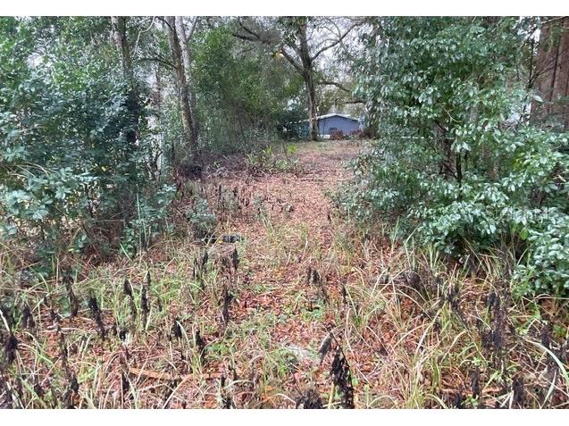 4840 SE 145th Street Summerfield FL 34491 V4928876 image1