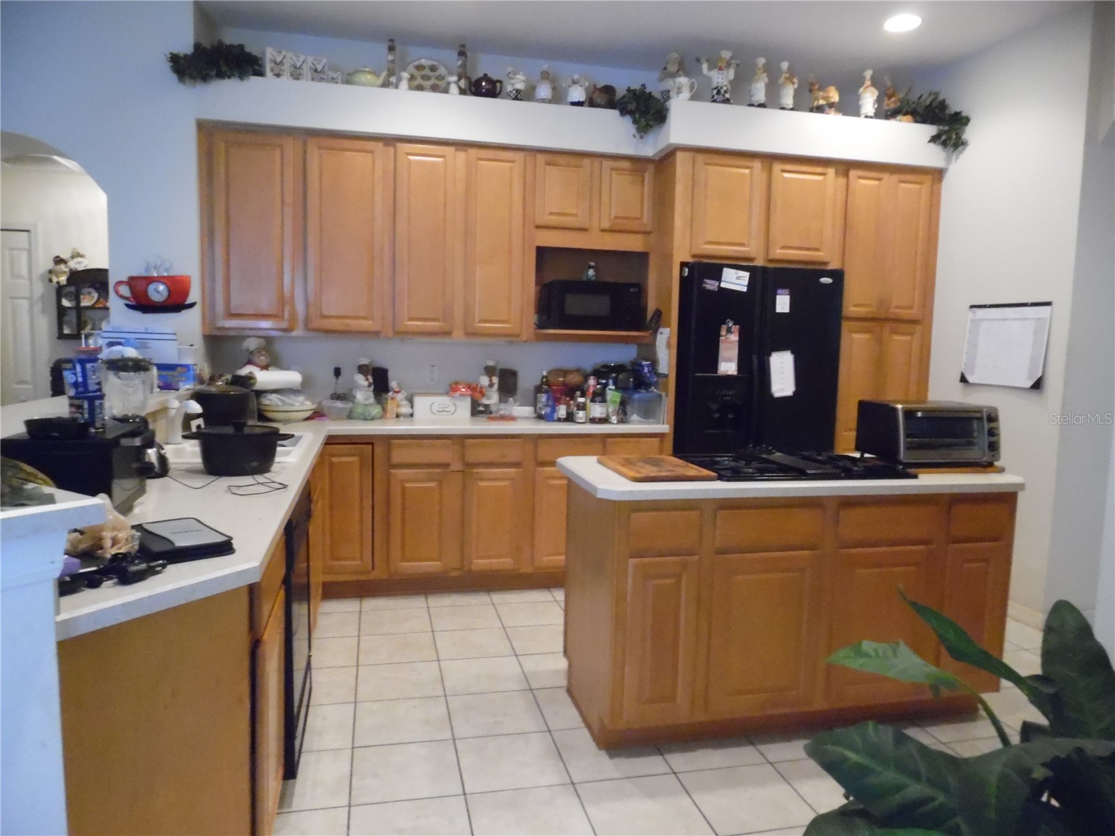 4841 Glen Coe Street Leesburg FL 34748 G5112234 image5